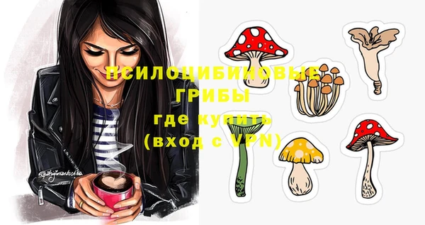 метадон Белокуриха