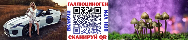 Псилоцибиновые грибы мицелий  Воронеж 
